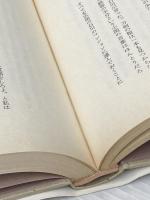 あれは幻の旗だったのか (1984年) 双葉社 北方 謙三