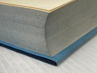 ※イタミ有 羅和辞典 増訂新版 研究社 田中 秀央