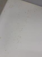 【※イタミ有り】ENGLISH STYLE Clarkson Potter Slesin, Suzanne