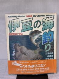 【※イタミ有り】伊豆の海釣り―航空写真で見る 日本テレビ放送網