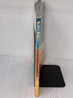 【※イタミ有り】伊豆の海釣り―航空写真で見る 日本テレビ放送網