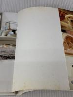 ニンテンドッグス+キャッツ: 任天堂公式ガイドブック 小学館 任天堂