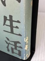 【※イタミ有り】悲しい生活 河出興産 松村 雄策