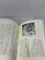 【※書き込み有り】「揉む医療」の探求──日本的身体とはなにか 青灯社 藤守 創