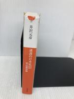 逆説の日本史 22 明治維新編 西南戦争と大久保暗殺の謎 (小学館文庫 い 1-37) 小学館 井沢 元彦