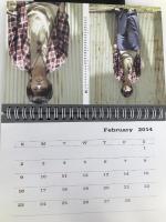 松坂桃李 カレンダー 2014年 株式会社 ハゴロモ ‐