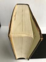 大修館新漢和辞典 (1980年) 大修館書店 諸橋 轍次