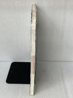 データベースをはじめる人のMicrosoft Access入門 ナツメ社 野田 晃