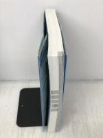 あどばんすどNScripterオフィシャルガイド 秀和システム 英明, 畔田