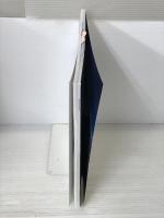 三浦雄一郎80歳エベレストへの挑戦 (双葉社スーパームック) 双葉社