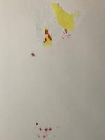 対訳西鶴全集〈3〉好色五人女.好色一代女 (1983年)　 明治書院 井原 西鶴