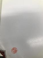 図説 ヨーロッパ不思議博物館 (ふくろうの本) 河出書房新社 宇田川 悟