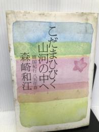 こだまひびく山河の中へ―韓国紀行 85年春 朝日新聞社 森崎 和江