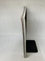 ホットウィール大図鑑 (NEKO MOOK 54) ネコ・パブリッシング