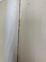 核時代の想像力 (新潮選書) 新潮社 大江 健三郎