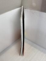 ビジュアル版 自分で治せる! めまい・ふらつき 洋泉社 新井 基洋