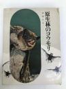 原生林のコウモリ (動物の記録 5) Gakken 遠藤 公男