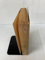 マヤ占い―夢をかなえる運命操縦法 アミューズブックス 大沢 直行