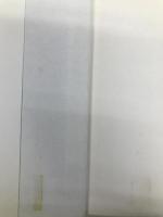 凍樹 講談社 斎藤 純