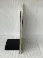 水島弘史 究極の定番レシピ (TJMOOK) 宝島社 水島 弘史