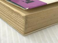 姓名判断: 文字の霊が、あなたの運命を左右する (カッパ・ブックス)　 光文社 野末 陳平