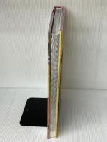 Fashion Worlds: Contemporary Retail Spaces Thames & Hudson Galindo, Michelle