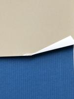 山陰地方の歴史が語る「竹島問題」 杉原隆 杉原隆