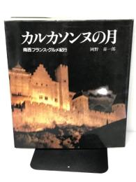 カルカソンヌの月: 南西フランス・グルメ紀行 ダイヤモンド社 岡野 喜一郎