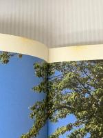 不思議の国の“アリス”: ルイス・キャロルとふたりのアリス (求竜堂グラフィックス) 求龍堂 克彦, 舟崎