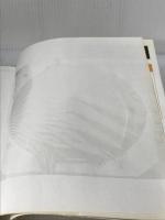 【※CD欠品】Access2002VBA実践プログラミングリファレンス: Access2000/2002対応 エヌジェーケーテクノ・システム プロジェクトA