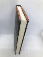 傷痕 集英社 北方 謙三