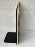 プリンセスからならったタイ王宮料理 白馬出版 酒井 美代子