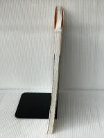 学びを支える保育環境づくり: 幼稚園・保育園・認定こども園の環境構成 (教育単行本) 小学館 高山 静子