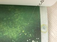 はるなつあきふゆ ほるぷ出版 ジョン バーニンガム