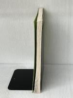 Rise of the Deo: Leadership by Design New Riders Pub Giudice, Maria