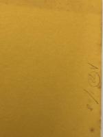 大将　 講談社 柴田錬三郎