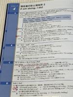 マーフィーのケンブリッジ英文法 中級編 (Grammar in Use) ケンブリッジユニバーシティプレス Raymond Murphy