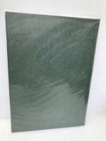 刑事裁判実務大系 (11) 青林書院 河上 和雄