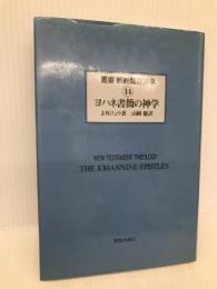 叢書新約聖書神学 14 ヨハネ書簡の神学 新教出版社 山内一郎