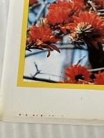 沖縄・宮古・石垣 (Atlas Guide 地図の本 12) 日地出版 地図の本編集部