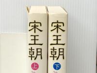 宋王朝 －中国の富と権力を支配した一族の物語－ 上下巻セット
