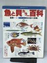 魚と貝カラー百科―生態食べ方おもしろ話 蘊蓄がいっぱい読む図鑑 (1985年) (主婦の友百科シリーズ) 主婦の友社