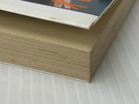 F・モレシャンの失敗しないおしゃれ 改訂新版 (21世紀ブックス) 主婦と生活社 フランソワーズ モレシャン