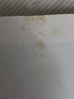 フランス料理の探究 下: フランス料理フォーラム 柴田書店 クラブ デ トラント