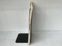 入門JGAWK: サンデープログラマーのための言語型テキスト変換プログラム エヌジェーケーテクノ・システム 伊藤 博康