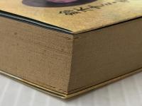 太陽へのラブレター: 膠原病で逝ったチコ、二十歳の絶唱　 一光社 鈴木 ナミ