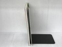 実例満載!POPチラシ案内はがき役立つ書類のつくり方 (実例満載!!) 技術評論社 チームA