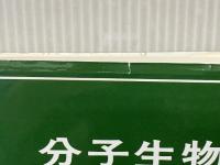 分子生物学 東京化学同人 西田栄介