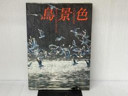 鳥景色: 写真集 講談社 叶内 拓哉