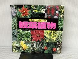 観葉植物 (山渓カラー名鑑) 山と溪谷社 高林 成年